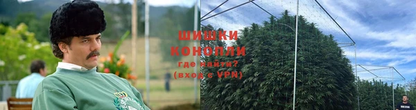 шишки Балахна