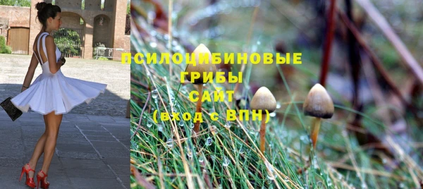 шишки Балахна