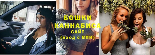 шишки Балахна