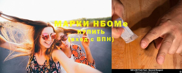 ПСИЛОЦИБИНОВЫЕ ГРИБЫ Баксан