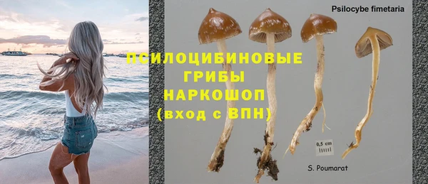 шишки Балахна