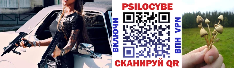 Галлюциногенные грибы Cubensis  Сольвычегодск 