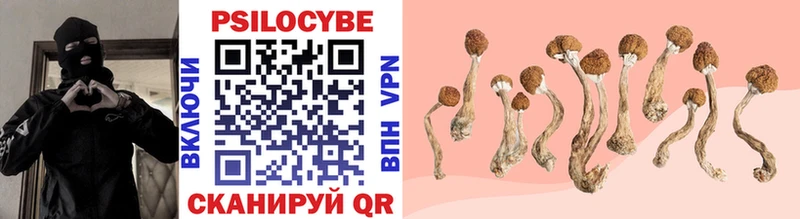 Псилоцибиновые грибы Magic Shrooms Сольвычегодск